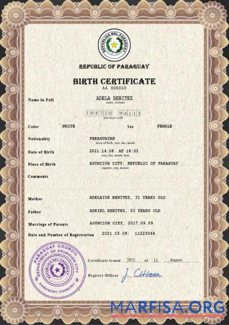 Realistic Paraguay vital record birth certificate PSD template
